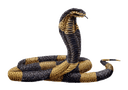 Cobra